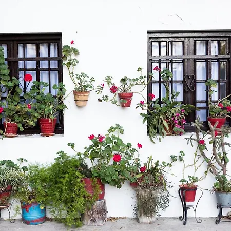 アパート Olerki By Smiling *