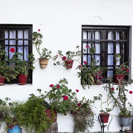 Olerki By Smiling Apartment Hondarribia