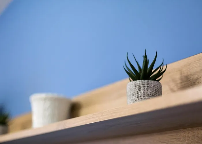 Olerki By Smiling * オンダリビア